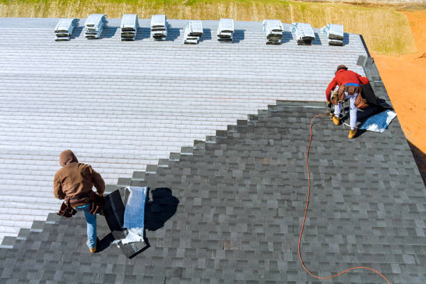 Best Storm Damage Roof Repair  in Sterling Heights, MI