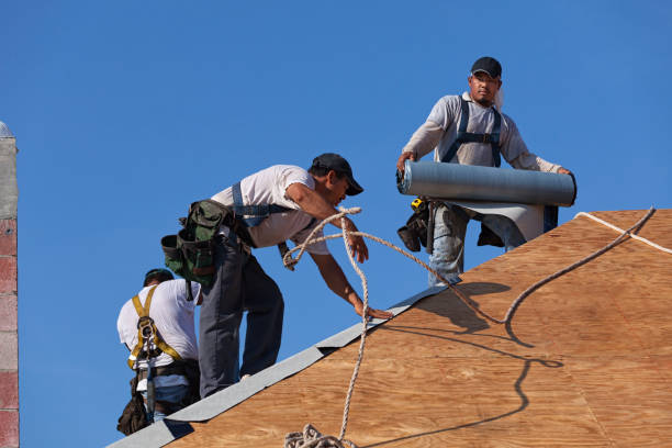 Best Roof Restoration Services  in Sterling Heights, MI